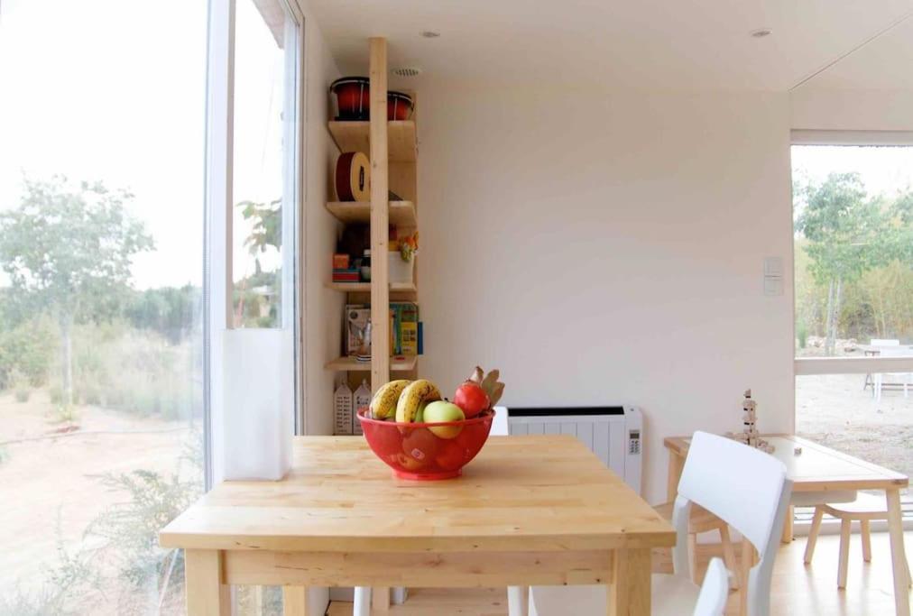 Eco Tiny Home & Office For Digital Nomads Vallmoll Bagian luar foto