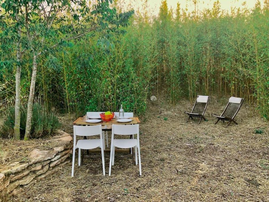 Eco Tiny Home & Office For Digital Nomads Vallmoll Bagian luar foto
