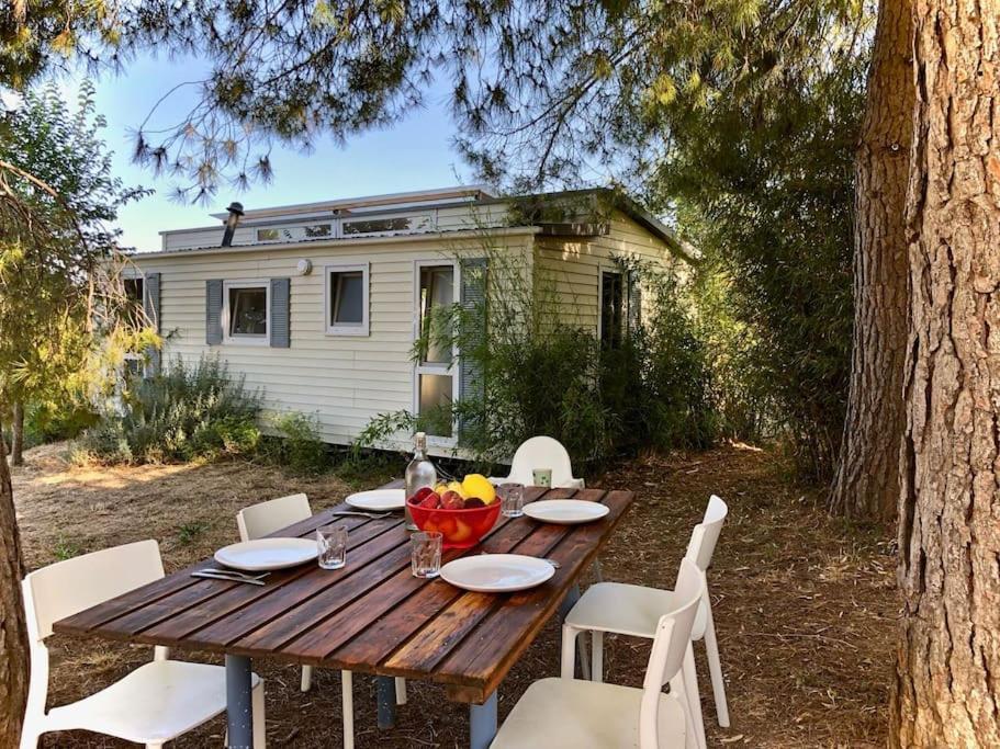 Eco Tiny Home & Office For Digital Nomads Vallmoll Bagian luar foto