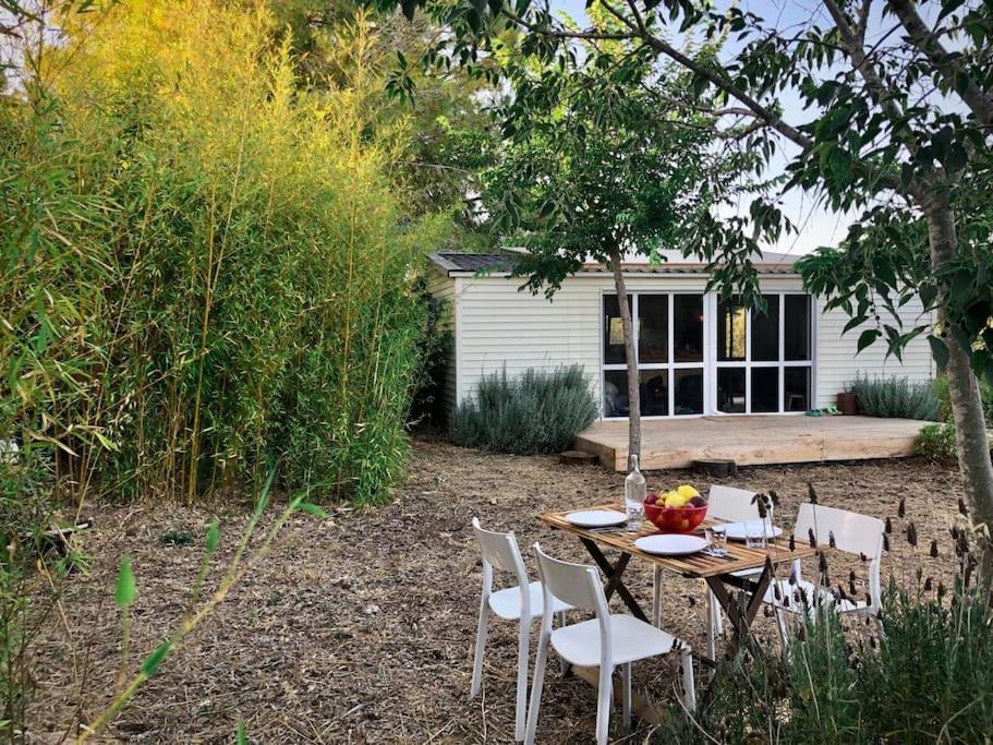 Eco Tiny Home & Office For Digital Nomads Vallmoll Bagian luar foto